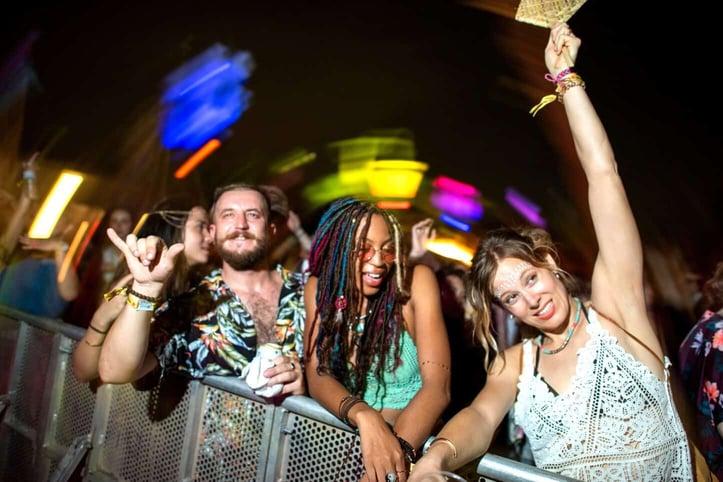 Photo of Music Fans at a Festival Photo of Music Fans at a Festival