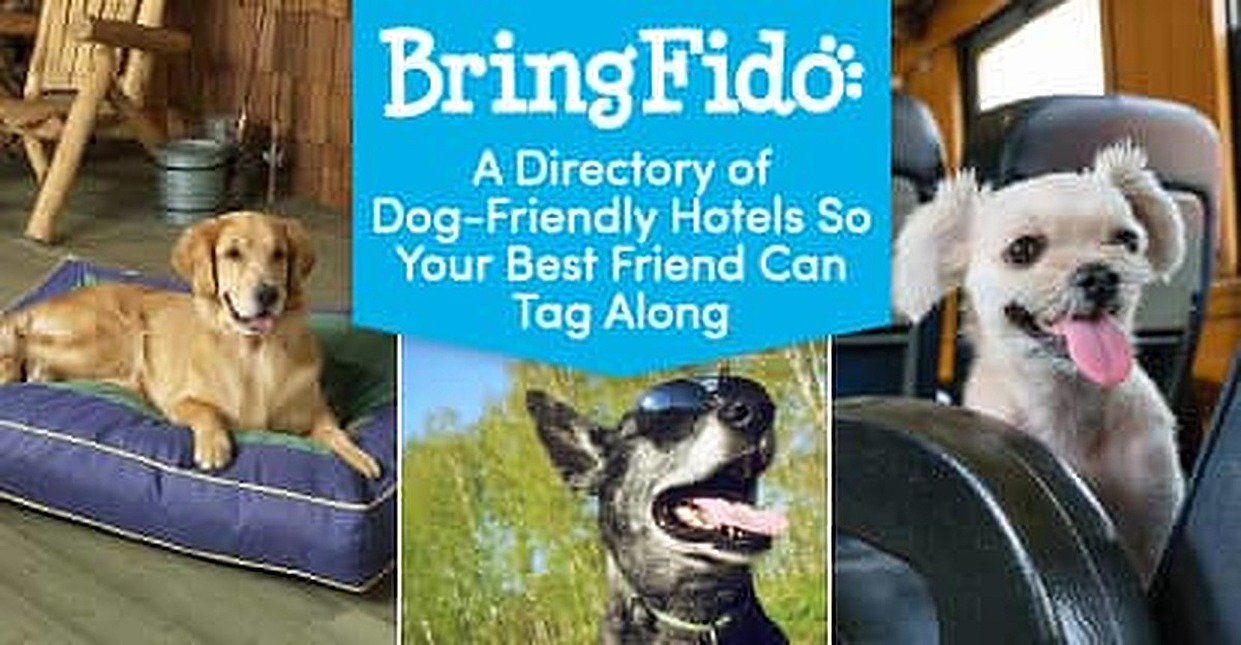 Dog Friendly Restaurants In Fargo Dog Friendly Restaurants In Fargo