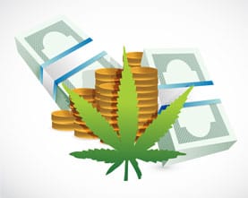 Cannabis Graphic Cannabis Graphic