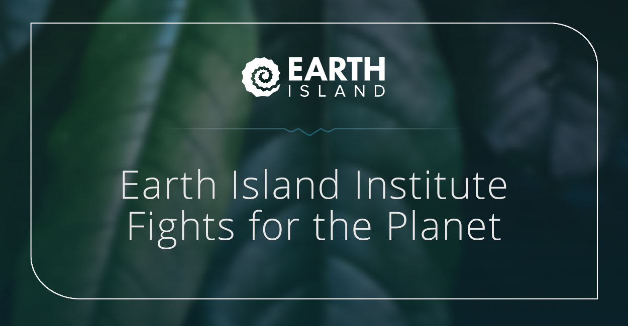 Earth Island Institute Tackles Sustainability, Conservation, and ClimateRelated Issues Around